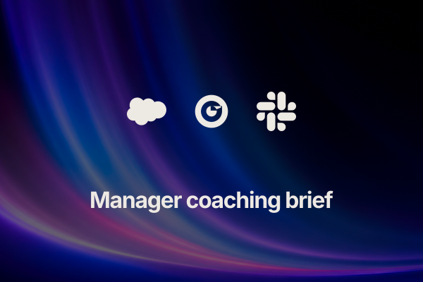 deal-coaching-brief: Manager coaching brief